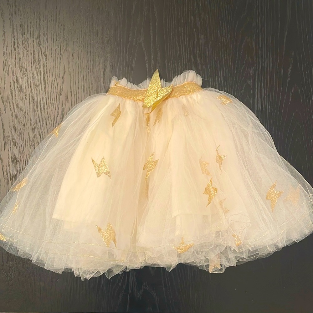 Pottery Barn Kids Emily and Meritt tutu skirt tulle party 3-6 age birthday